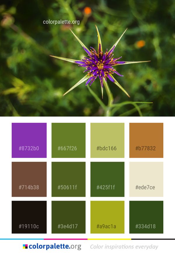 Flower Flora Plant Color Palette