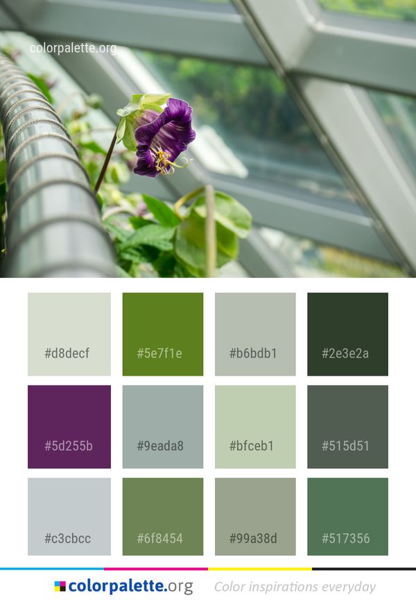 Flower Plant Purple Color Palette