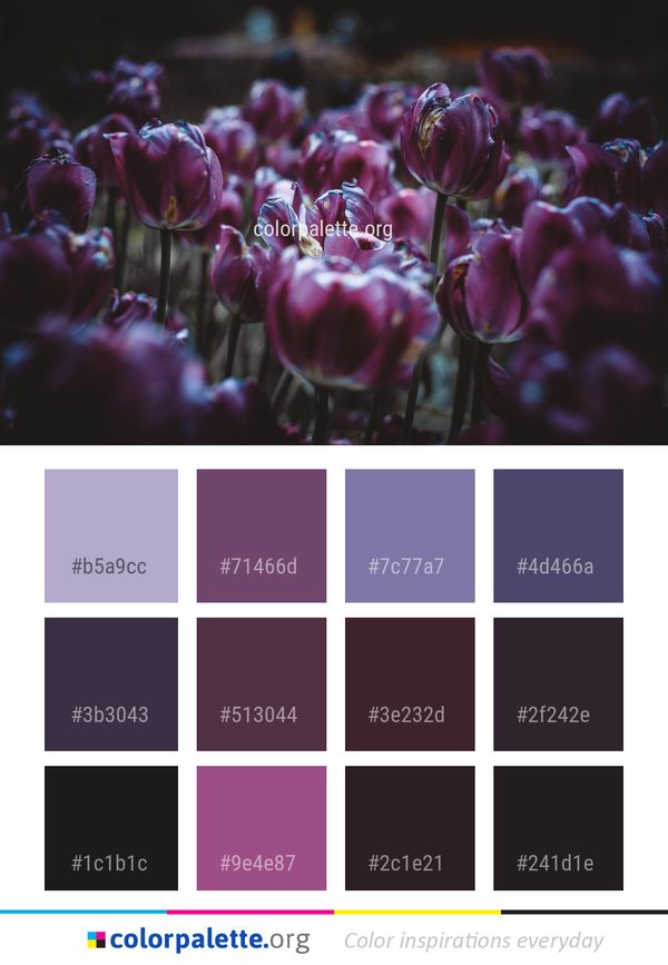 Flower Purple Plant Color Palette