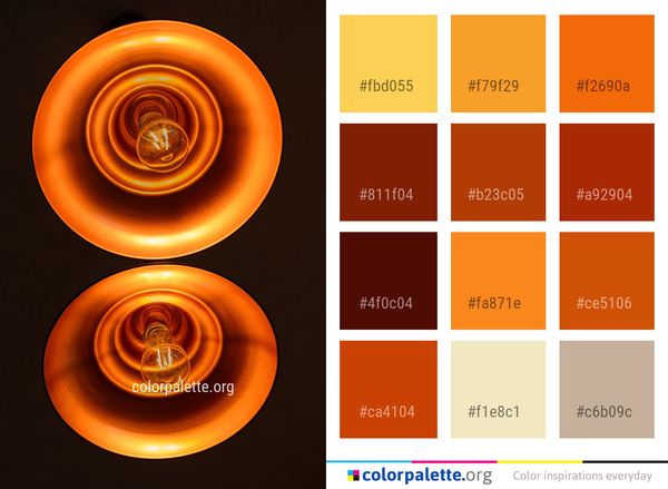 Orange Spiral Circle Color Palette