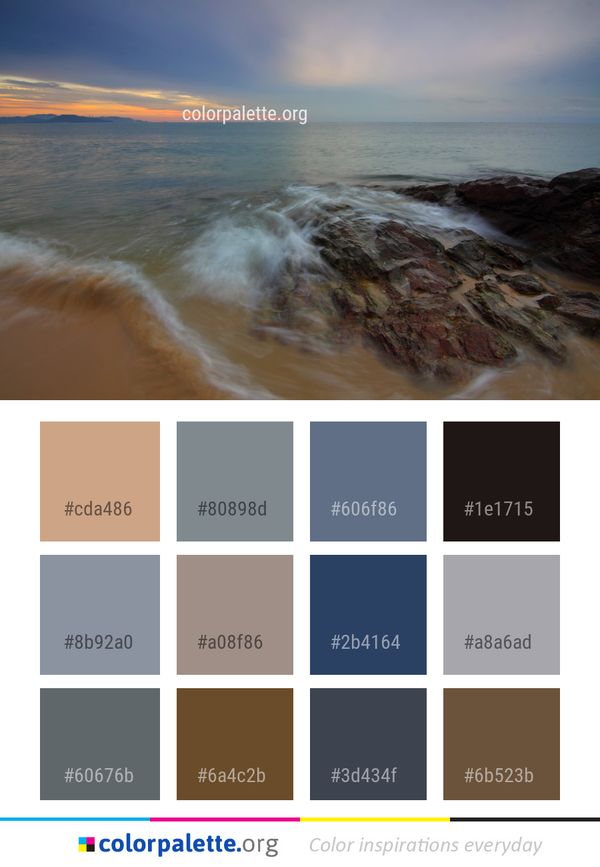 Sea Body Of Water Shore Color Palette