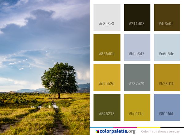 Sky Grassland Cloud Color Palette