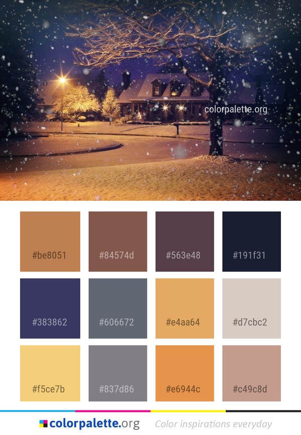 Snow Night Winter Color Palette