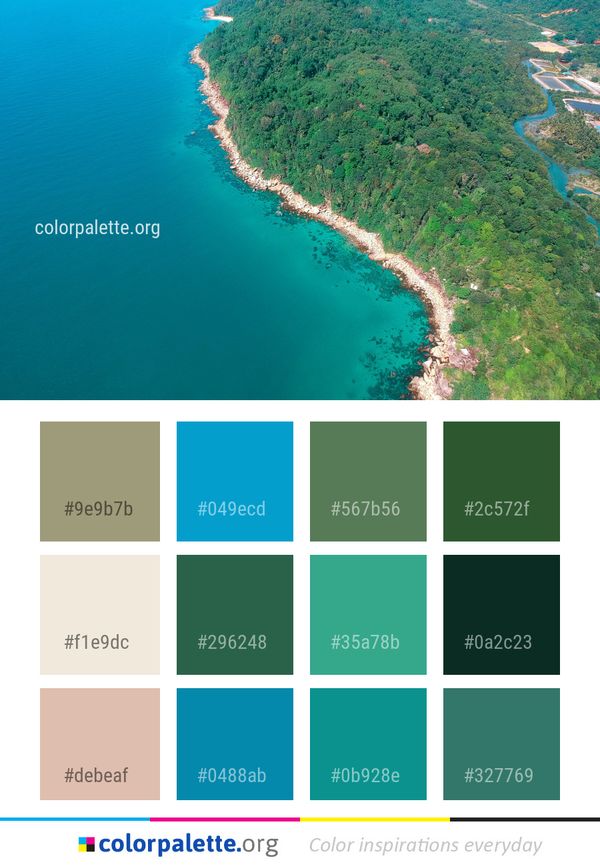 Aerial Photography Coast Sea Color Palette