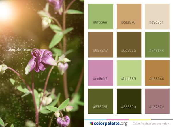 Flora Flower Plant Color Palette