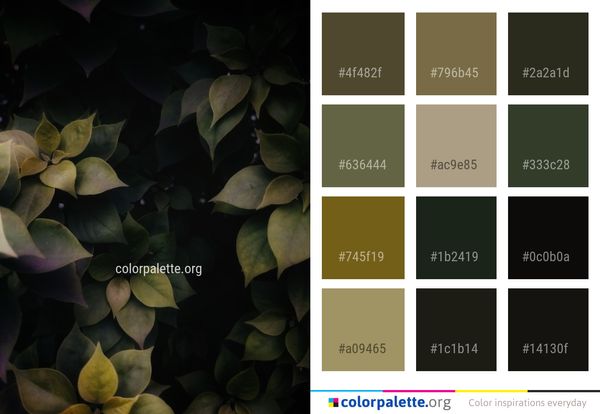 Leaf Plant Flora Color Palette