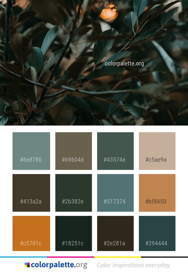 Plant Leaf Branch Color Palette