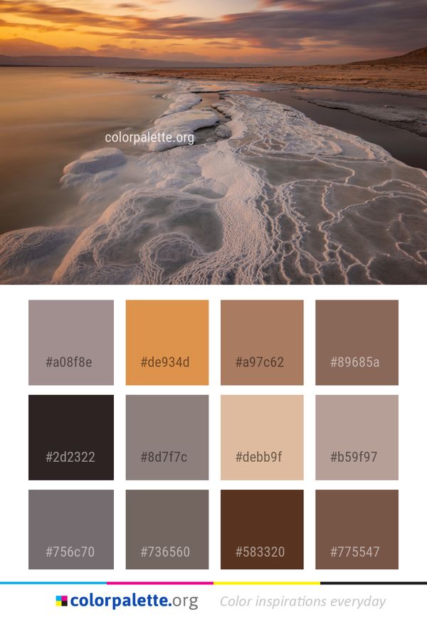 Shore Sky Sea Color Palette