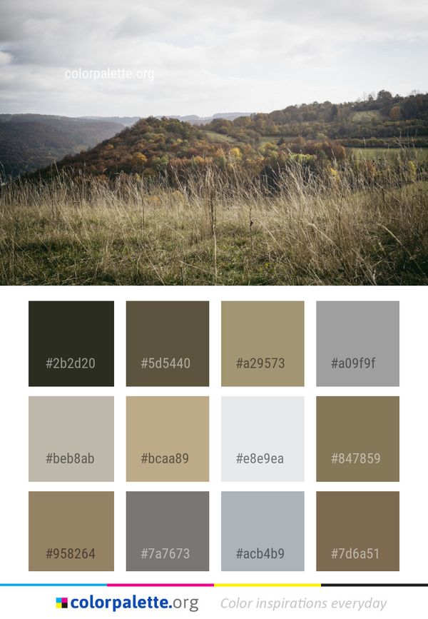Sky Hill Highland Color Palette