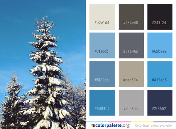 Tree Sky Spruce Color Palette
