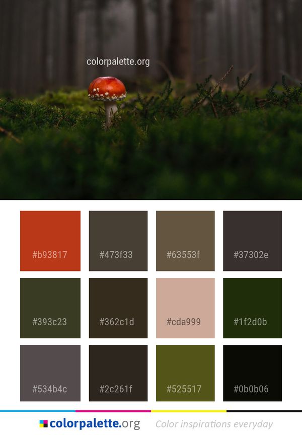 Vegetation Leaf Grass Color Palette
