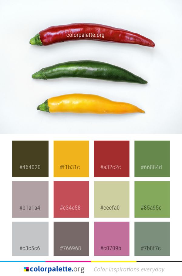 Chili Pepper Bird's Eye Vegetable Color Palette