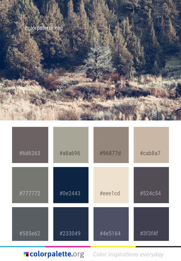 Ecosystem Wilderness Tree Color Palette