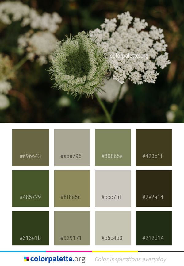 Flower Flora Plant Color Palette