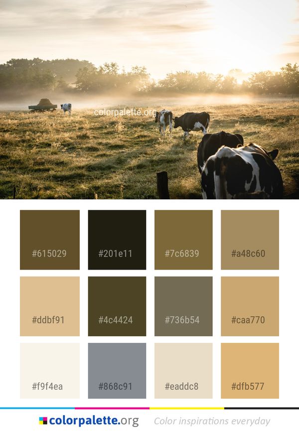 Grassland Pasture Cattle Like Mammal Color Palette