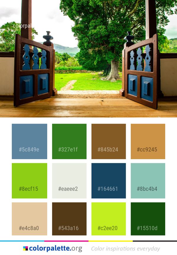 Home Tree House Color Palette