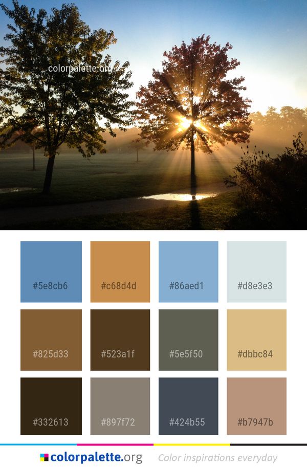 Nature Sky Tree Color Palette