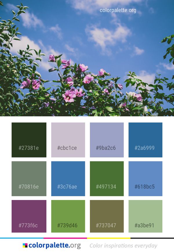 Sky Flower Plant Color Palette