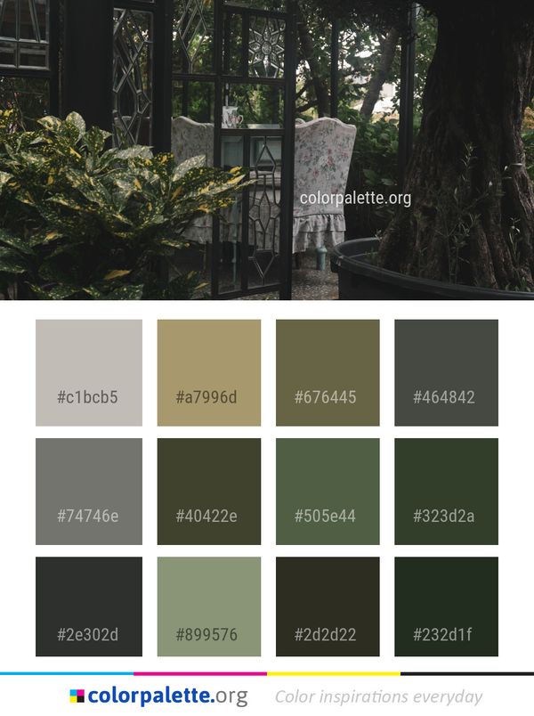 Tree Plant Forest Color Palette