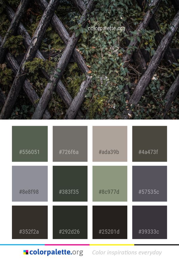 Tree Vegetation Forest Color Palette