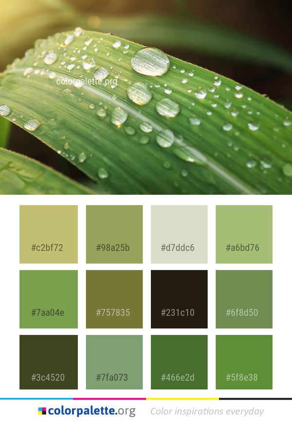 Water Dew Drop Color Palette