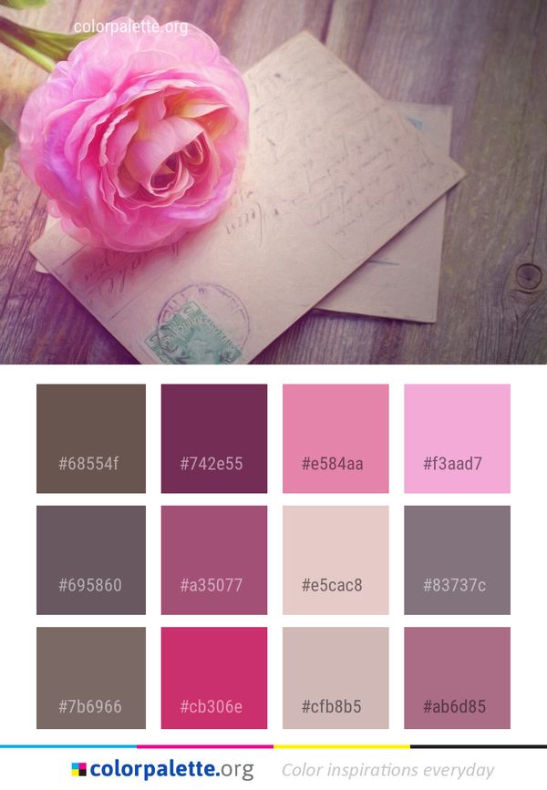 Flower Pink Rose Color Palette