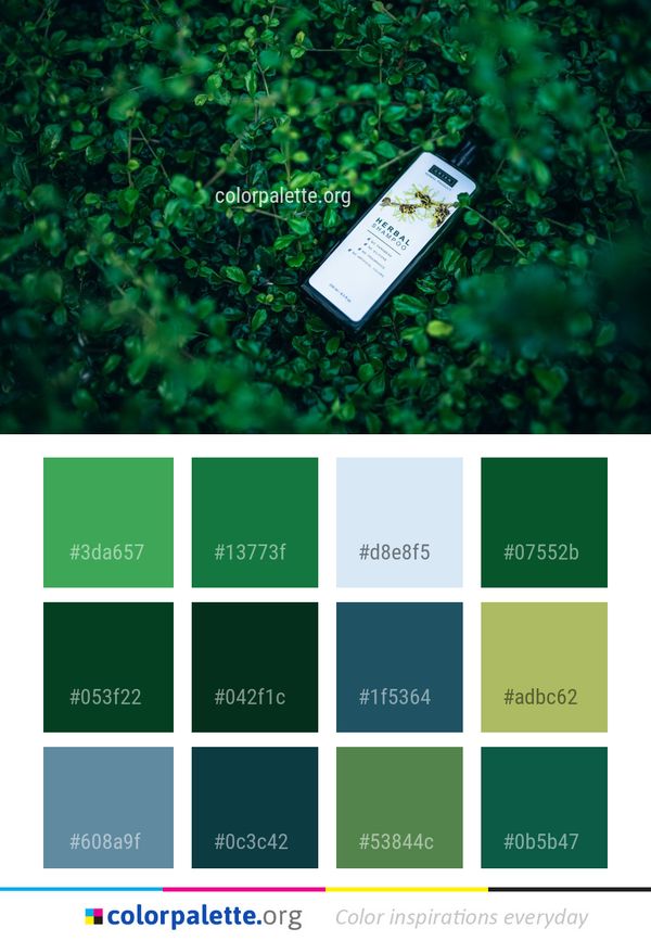 Green Nature Photography Color Palette