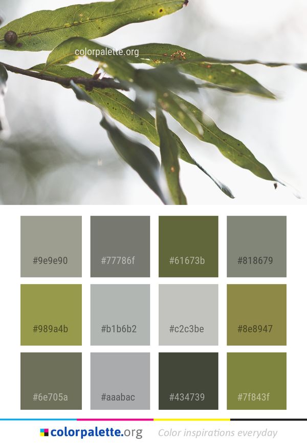 Leaf Flora Plant Color Palette