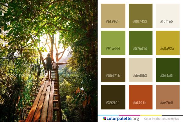 Nature Tree Vegetation Color Palette