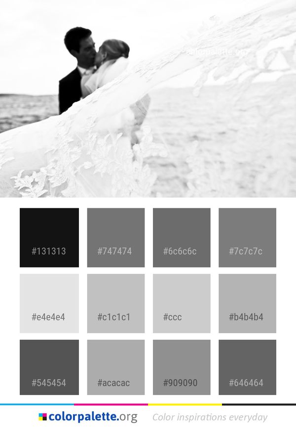 Photograph Black And White Bride Color Palette
