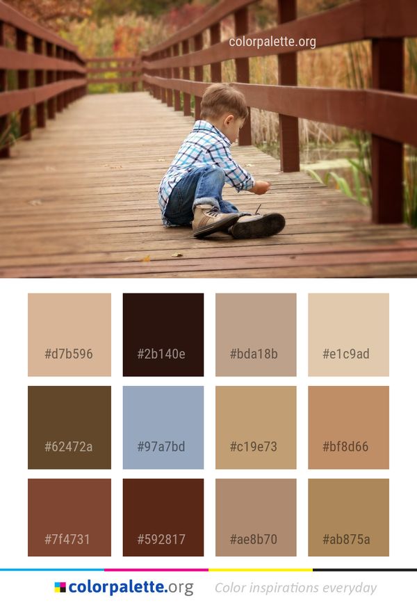 Photograph Sitting Child Color Palette