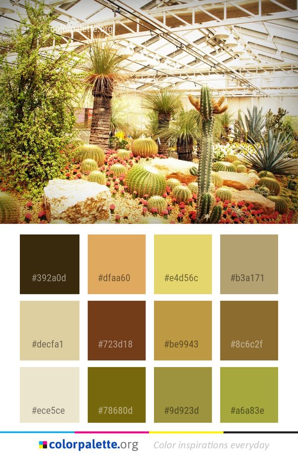 Plant Botanical Garden Color Palette