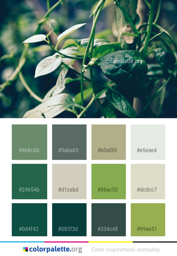 Plant Leaf Flora Color Palette
