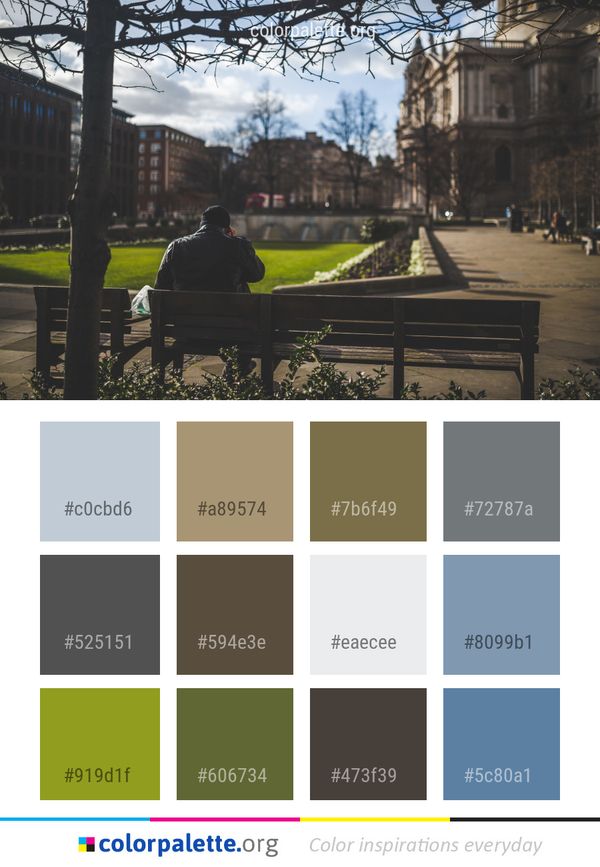 Tree Urban Area Woody Plant Color Palette