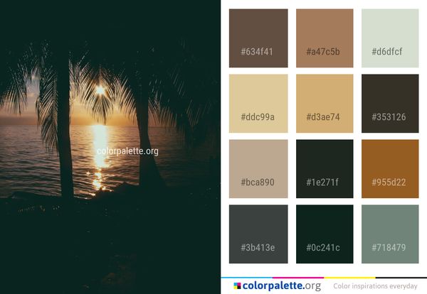 Water Nature Body Of Color Palette