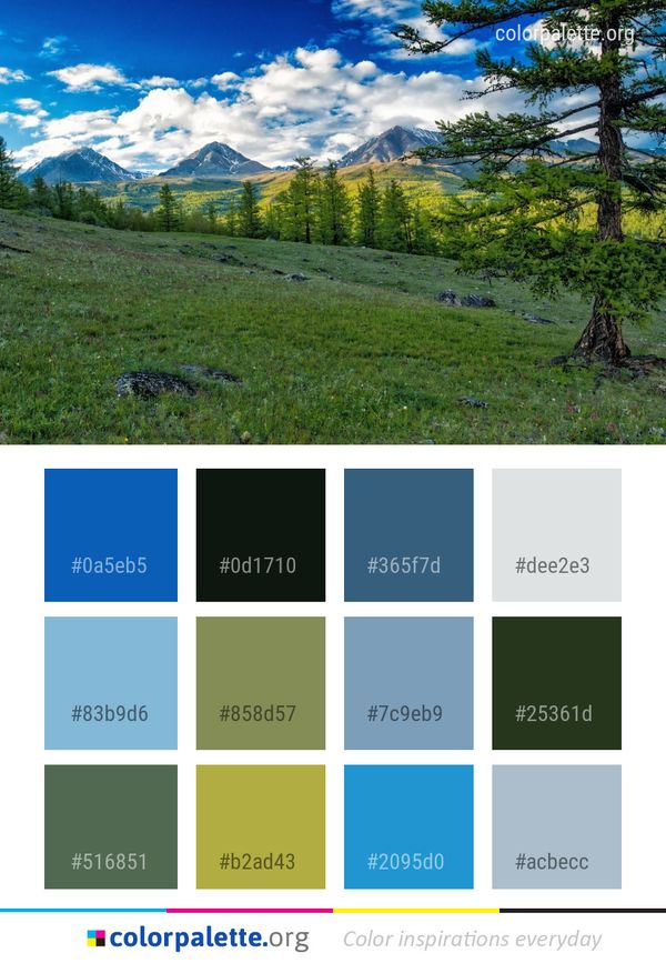 Wilderness Nature Ecosystem Color Palette