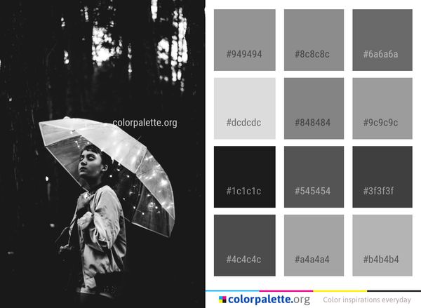 Black Photograph And White Color Palette