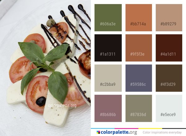 Dish Appetizer Food Color Palette