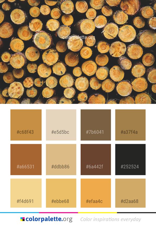 Food Baked Goods Muffin Color Palette