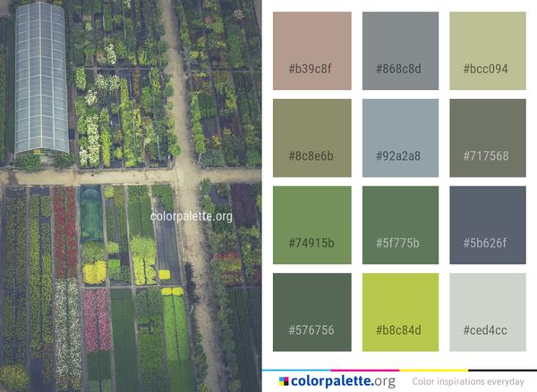 Green Tree Aerial Photography Color Palette