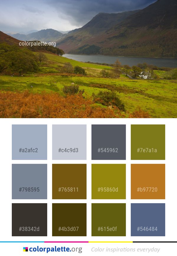 Highland Tarn Nature Color Palette