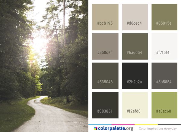Nature Tree Path Color Palette