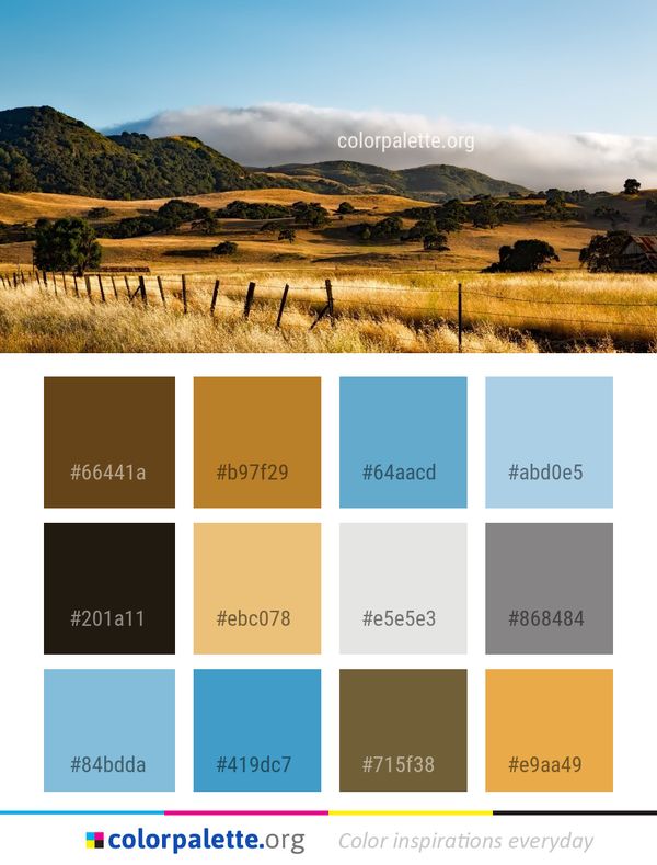 Sky Grassland Highland Color Palette