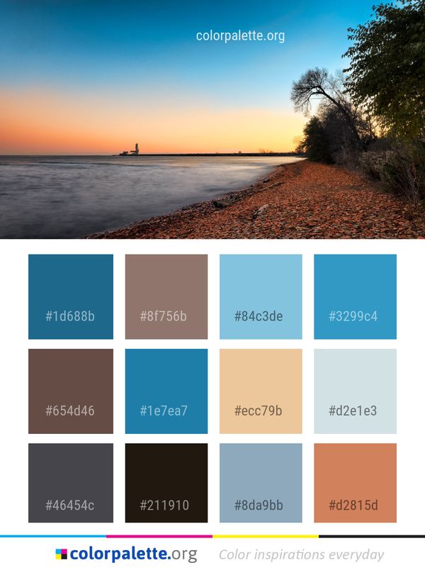 Sky Horizon Shore Color Palette