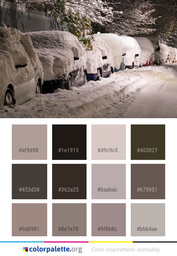 Snow Winter Freezing Color Palette