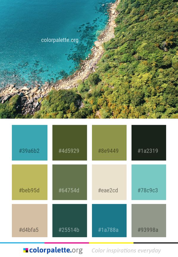 Vegetation Coast Water Color Palette
