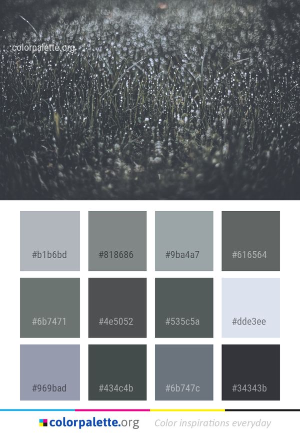 Water Atmosphere Moisture Color Palette