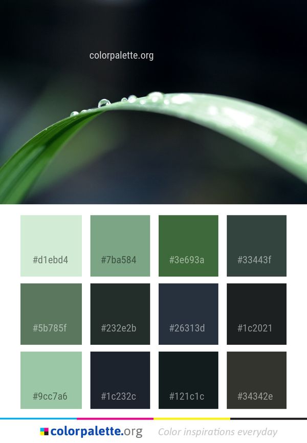 Water Dew Green Color Palette