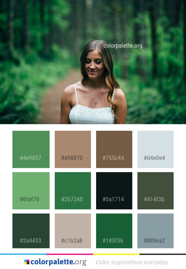 Green Nature Photograph Color Palette
