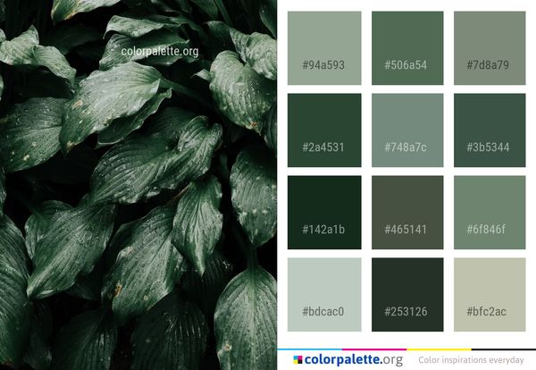 Leaf Green Plant Color Palette